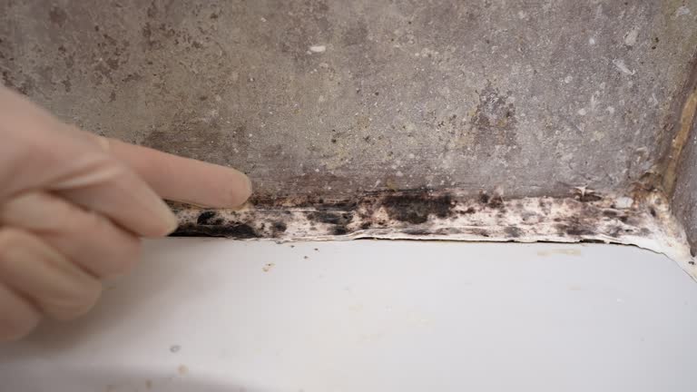 Forensic Mold Investigation